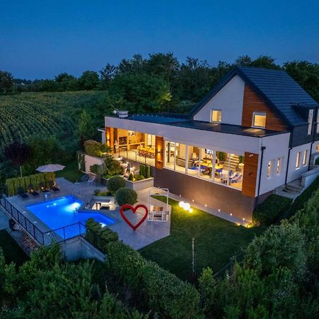 Riverside Pool Villa-Sremski Karlovci Ngoại thất bức ảnh
