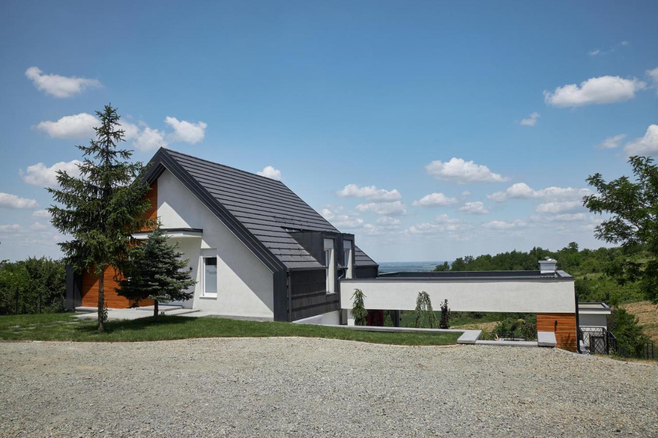 Riverside Pool Villa-Sremski Karlovci Ngoại thất bức ảnh