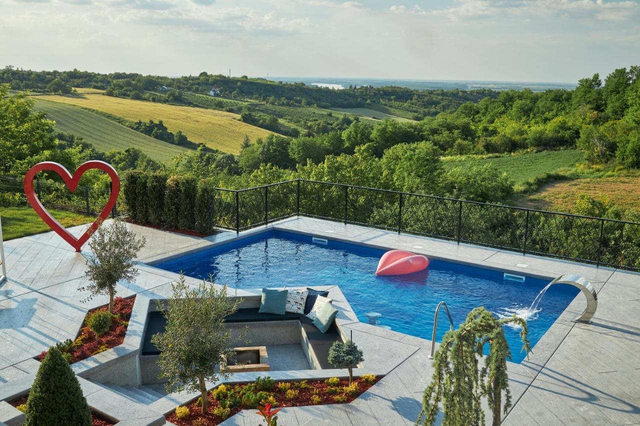 Riverside Pool Villa-Sremski Karlovci Ngoại thất bức ảnh