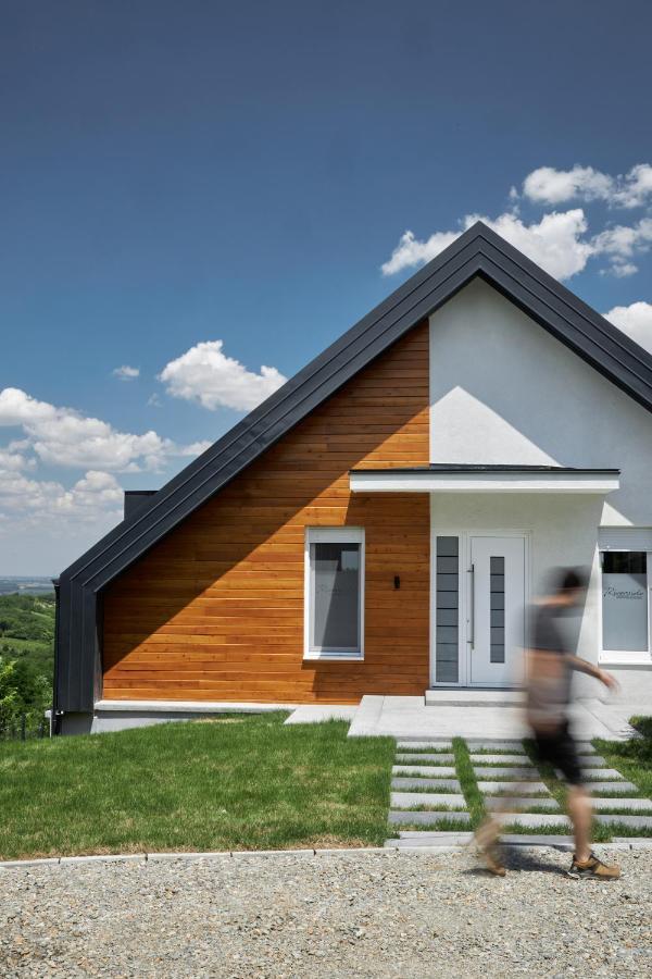 Riverside Pool Villa-Sremski Karlovci Ngoại thất bức ảnh