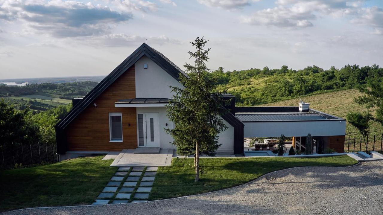 Riverside Pool Villa-Sremski Karlovci Ngoại thất bức ảnh