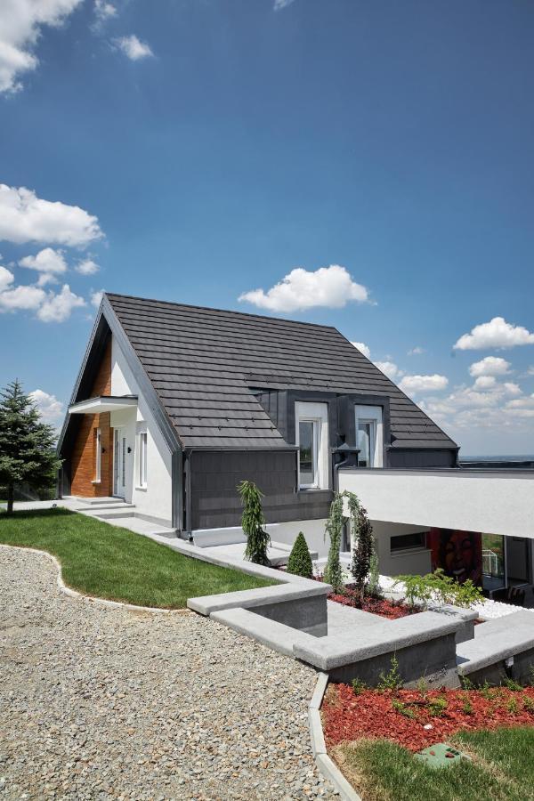 Riverside Pool Villa-Sremski Karlovci Ngoại thất bức ảnh